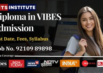 Diploma Virtual Interactive Business Experiments System VIBES